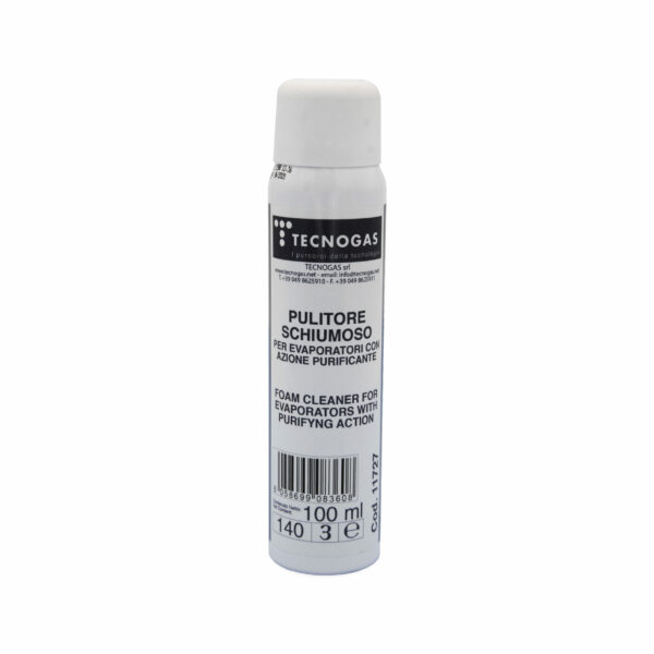 Foaming Purifying Treatment