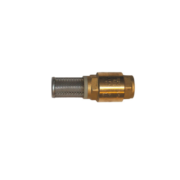 Foot valve