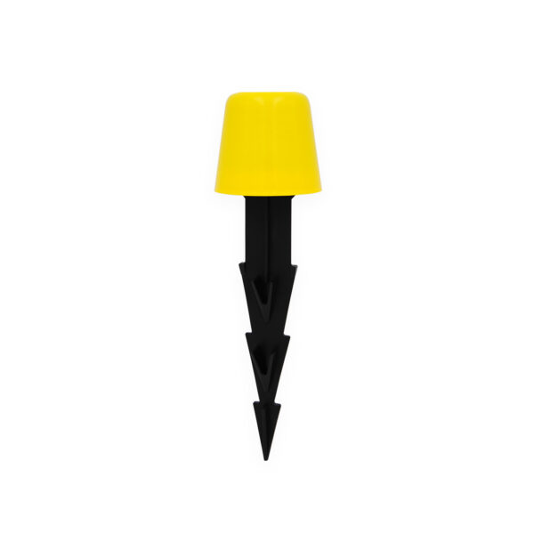Signaling Stake