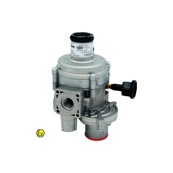 Double Membrane Single-Stage Pressure Regulator with Filter