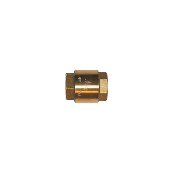 Check Valve