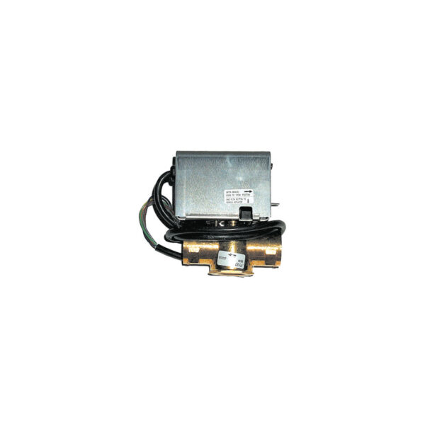 Motorized Zone Valve with Two-Way Micro
