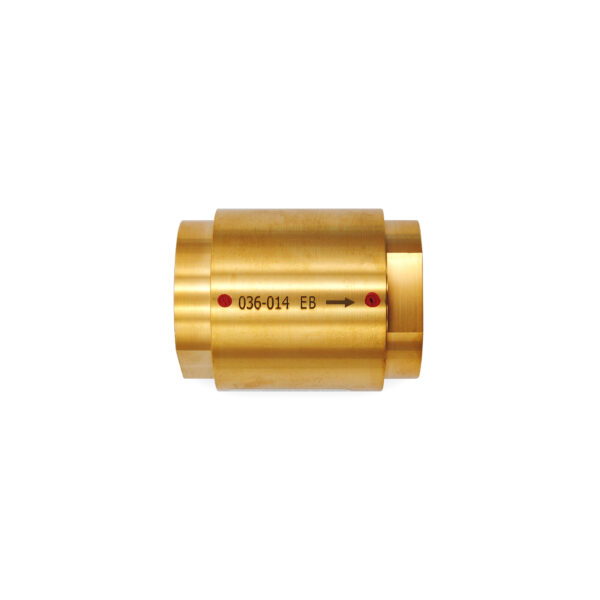Non Return Valve for Gas